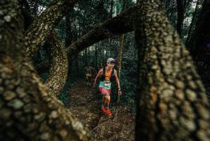 BIB: 
                            <button type="button" onclick="openModal(25675570)" class="btn btn-primary btn-sm float-right btn-popup" data-toggle="modal" data-target=".modal-high-quality">
                        <i class="fas fa-shopping-cart"></i> Add to Cart
                    </button>
                                            <button type="button" onclick="isThisMe(25675570, true)" class="btn btn-success btn-sm float-right btn-popup btn-isme hidden" data-toggle="tooltip" data-placement="bottom" title="นี่คือรูปของคุณใช่ไหม คลิกที่นี่เพื่อเอาเข้าอัลบั้ม">
                        <i class="fas fa-plus"></i> Add to album
                    </button>
                    <button type="button" onclick="isThisMe(25675570, false)" class="btn btn-warning btn-sm float-right btn-popup btn-isnotme hidden">
                        <i class="fas fa-ban"></i> Remove from album
                    </button>